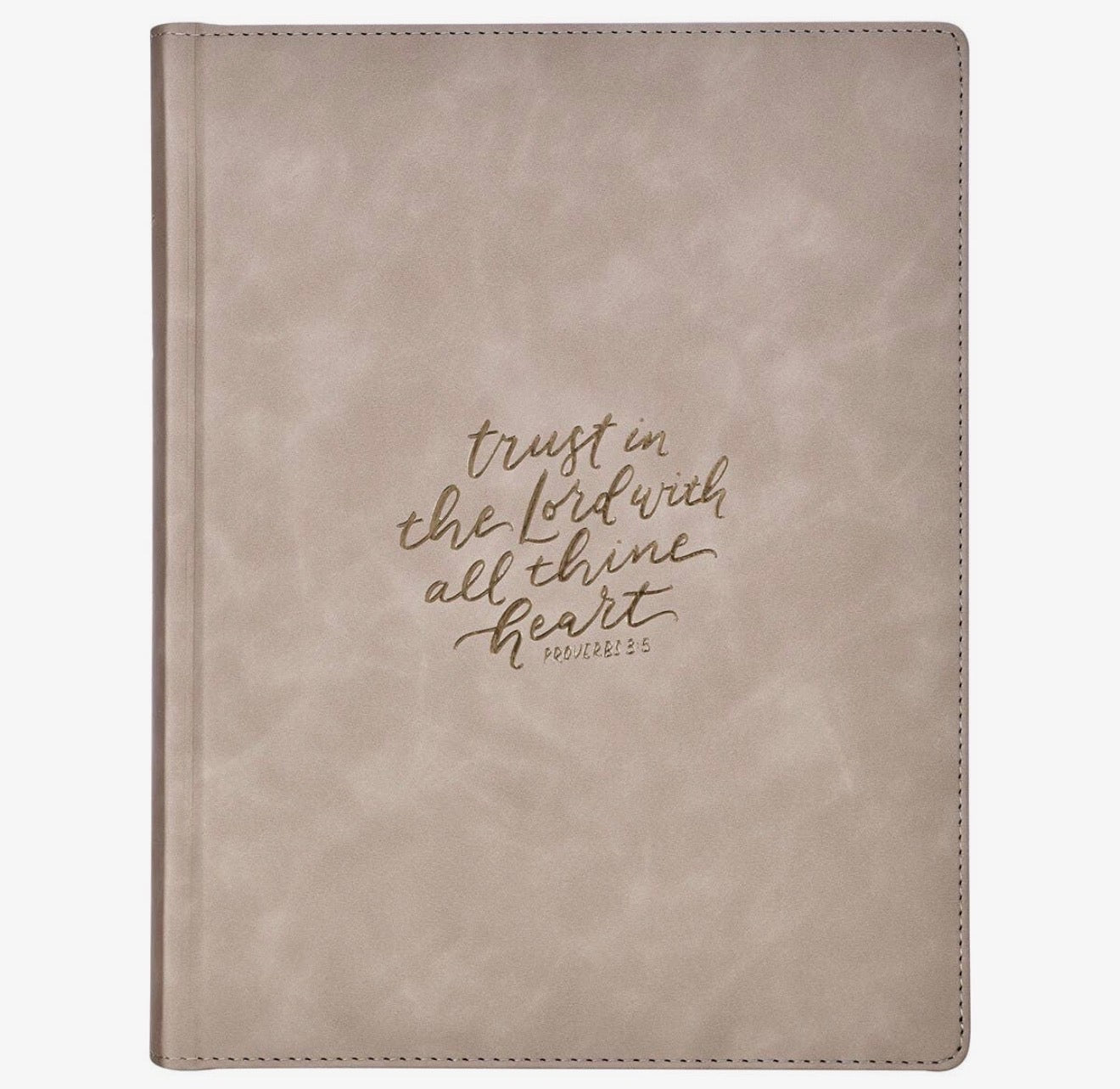 Taupe Leather Bible