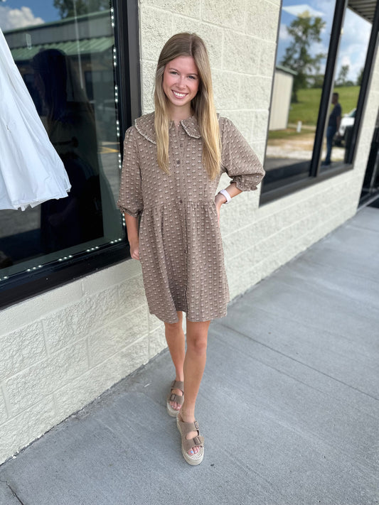 Brown Collared Dress