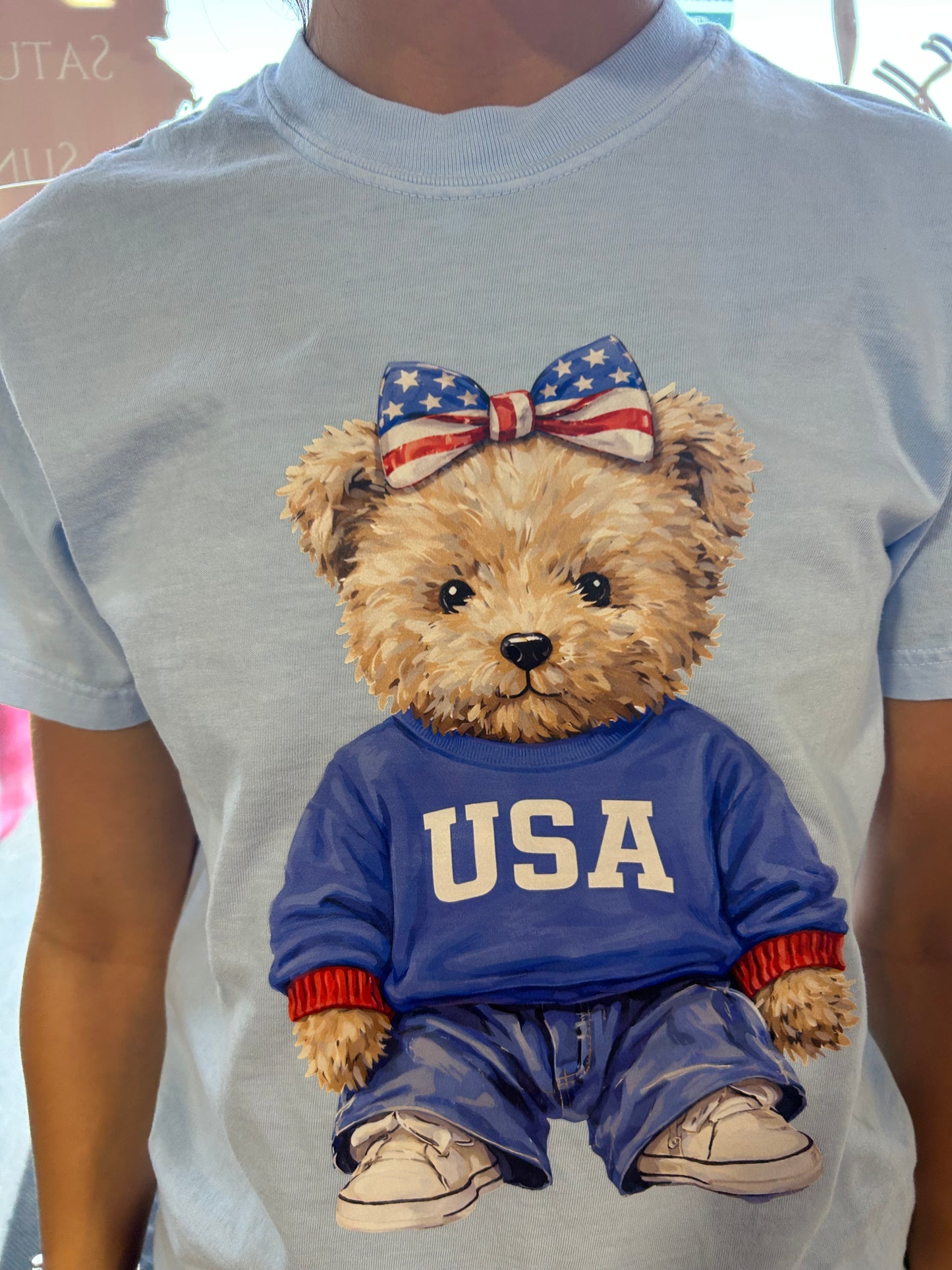 USA Teddy Bear Graphic