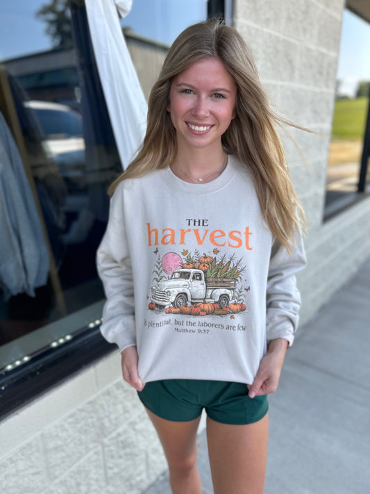 Fall Harvest Crew